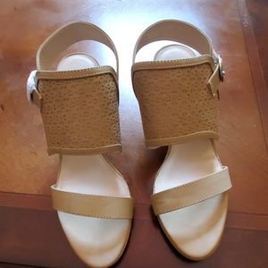 Midnight Velvet shoes